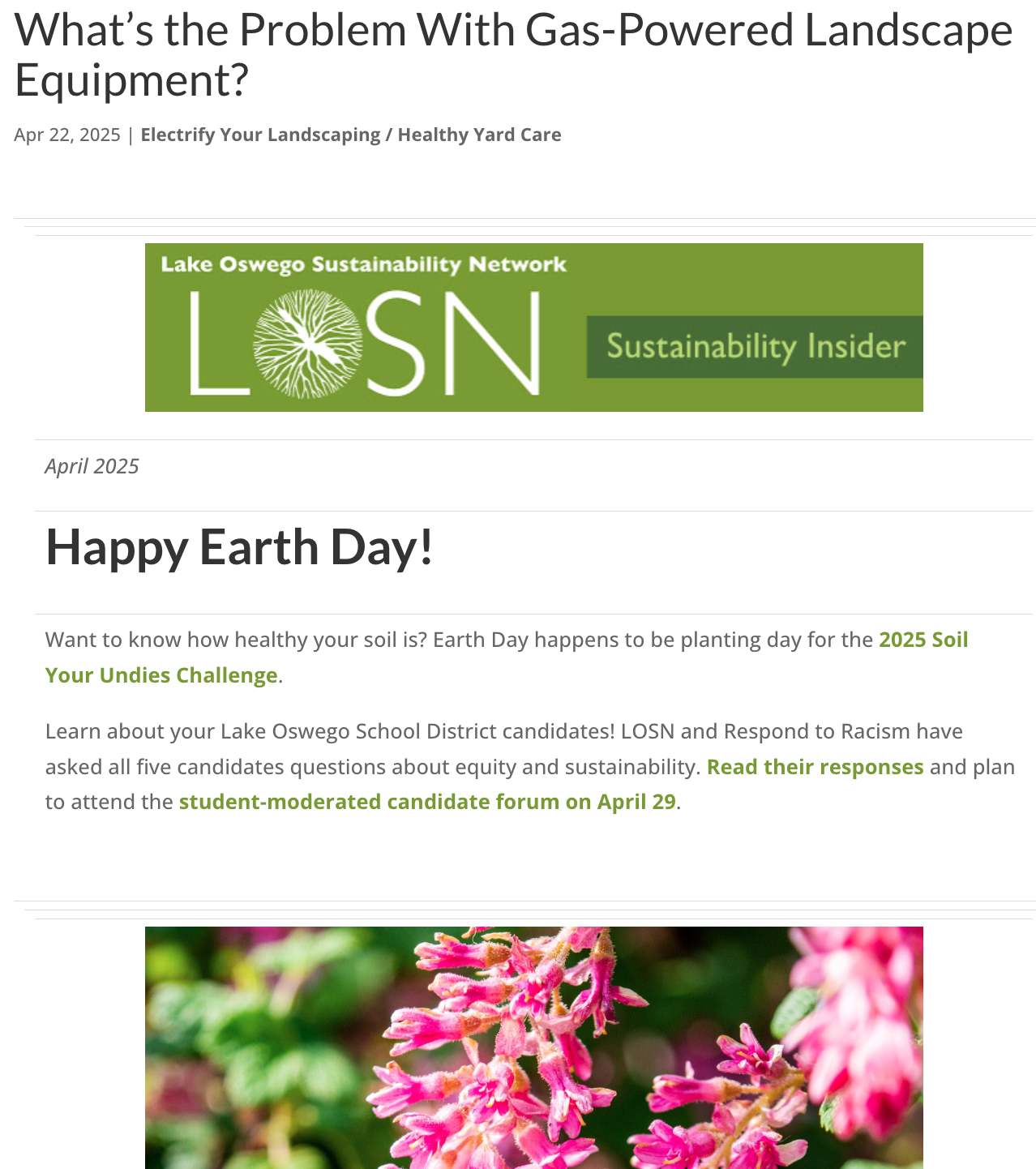 Screen shot of the top part of the April 2025 newsletter